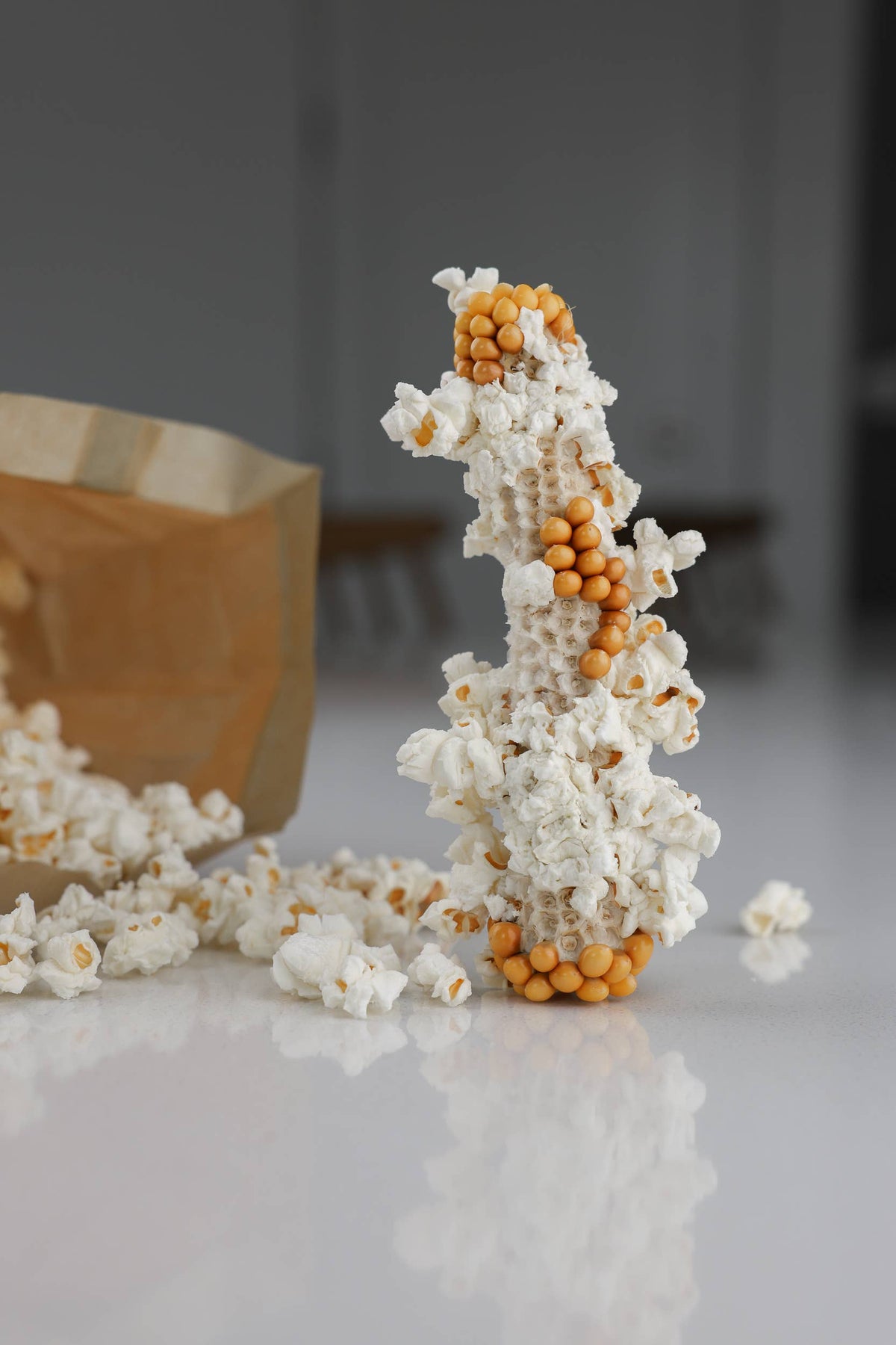 Yellow Popcorn Microwave Cobs