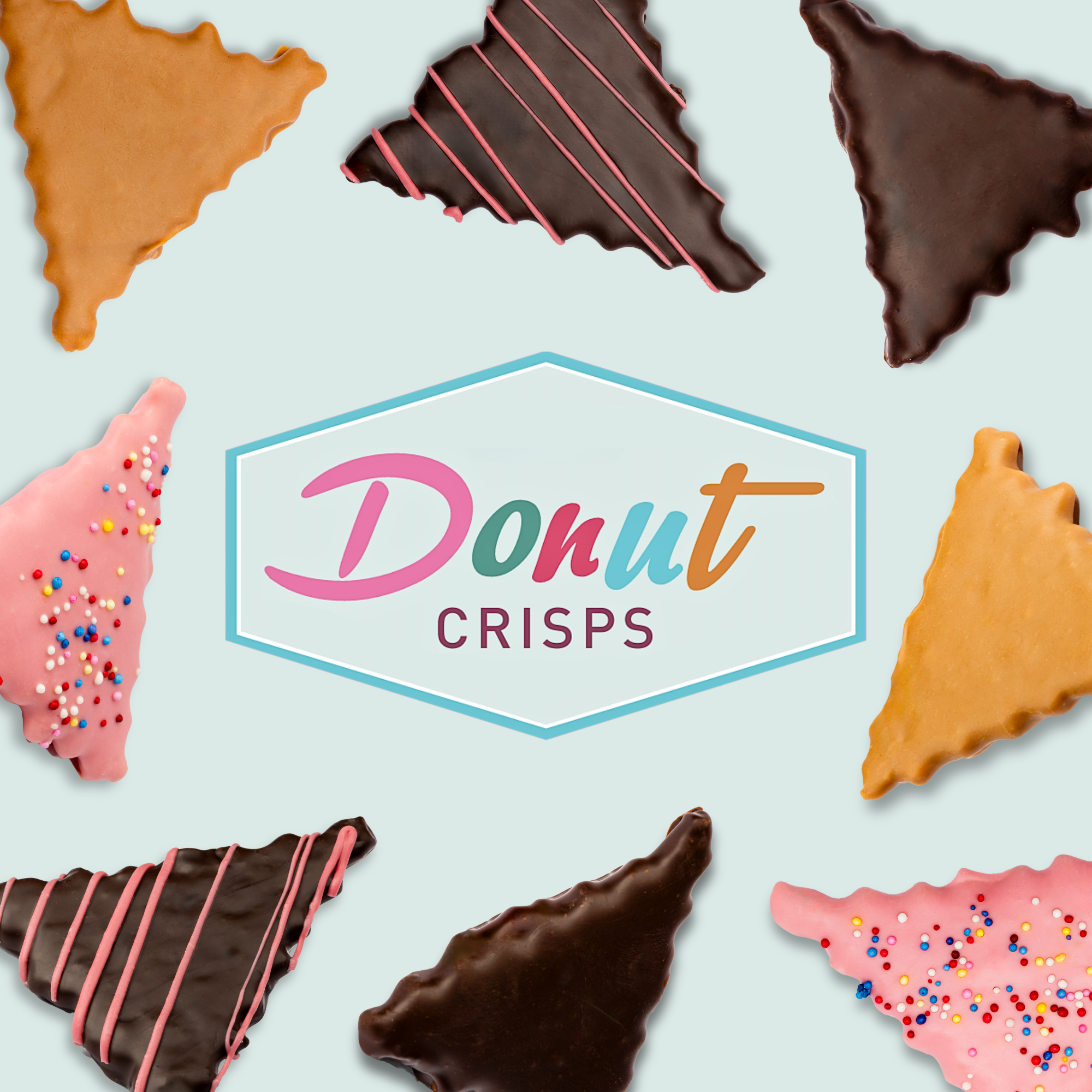 Raspberry Chocolate Donut Crisps