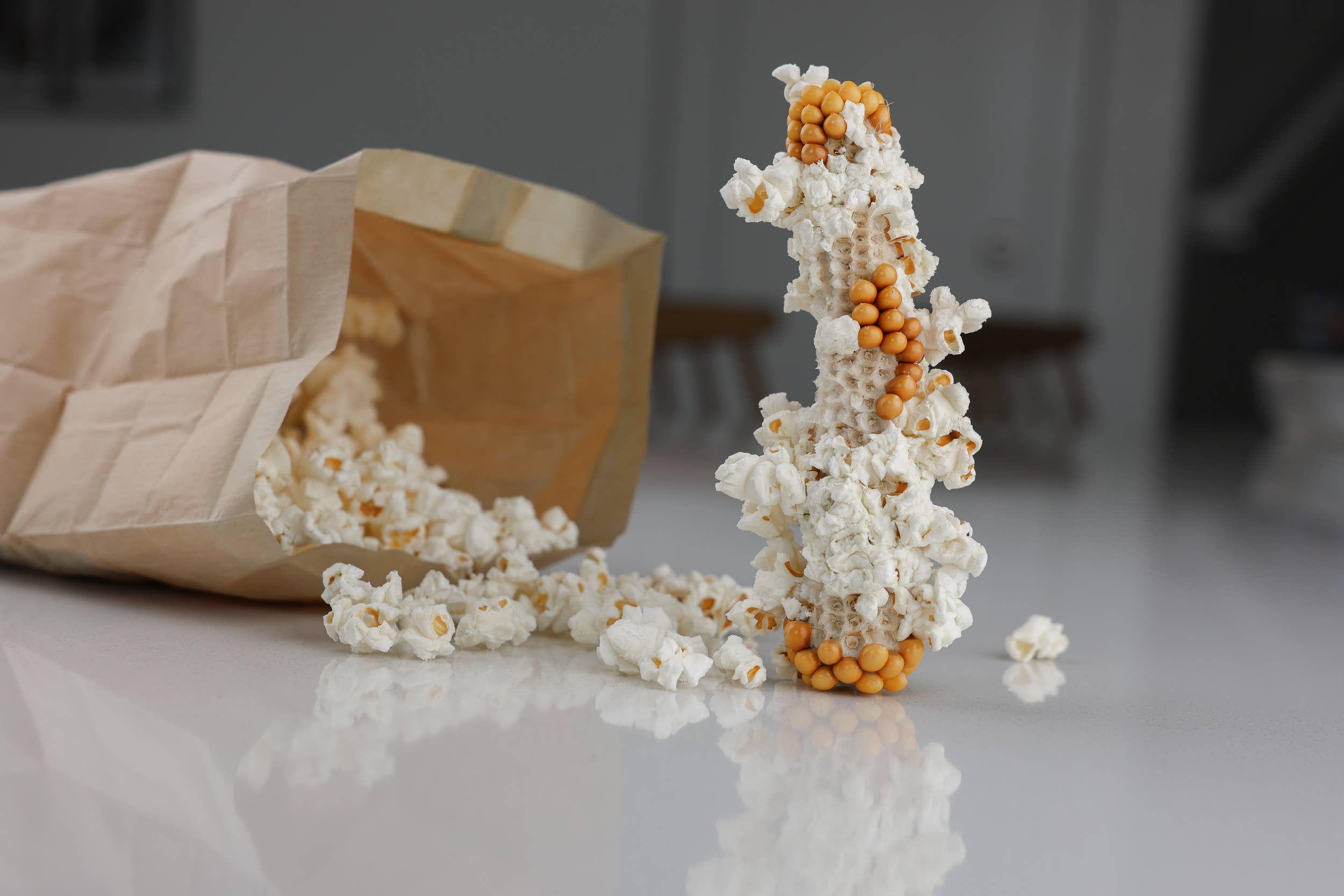 Yellow Popcorn Microwave Cobs